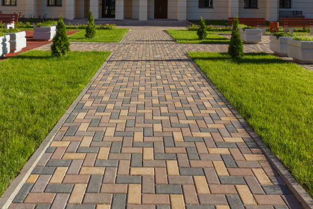 Best Driveway Paving Contractor  in Rice, TX